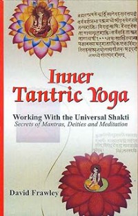 Image of Inner Tantric Yoga : working with the universal shakti : secrets of mantras, deities and meditation
